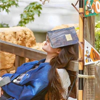 少年伊戈尔与鹤